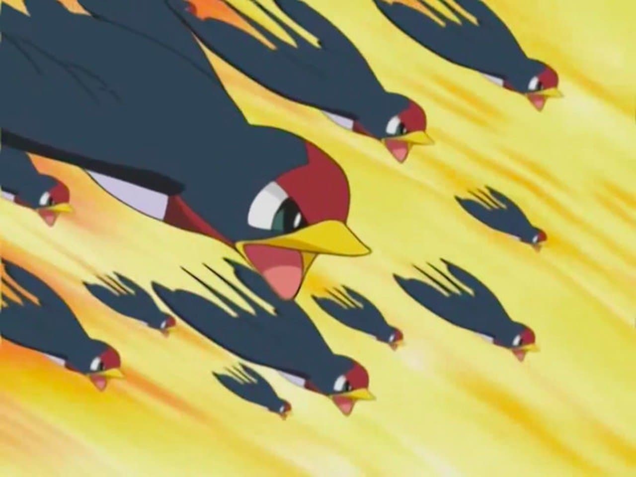 You Never Can Taillow! still