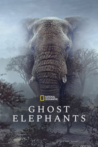 Ghost Elephants artwork