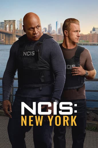 NCIS: New York artwork