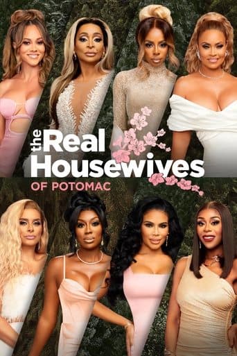 The Real Housewives of Potomac artwork