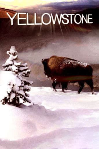 Yellowstone artwork
