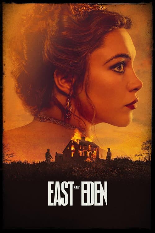 Limited Series poster