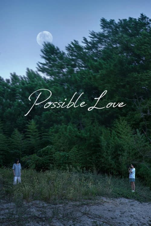 Possible Love artwork