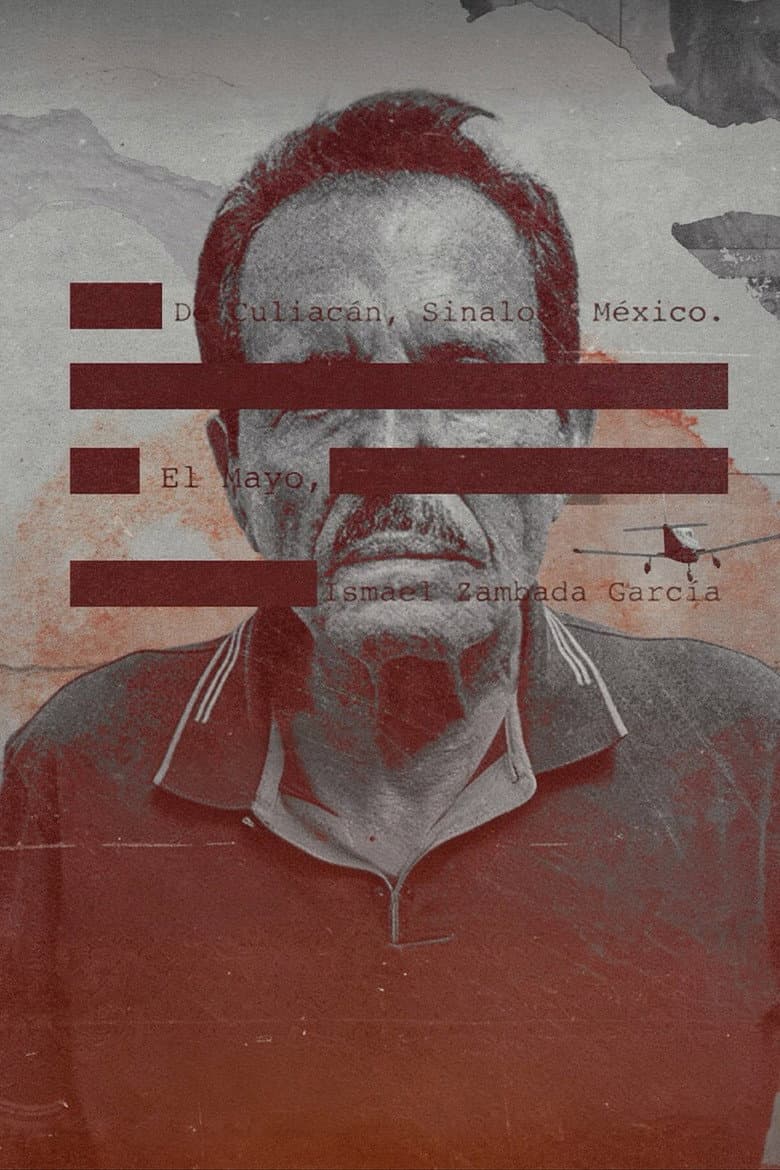 Limited Series poster