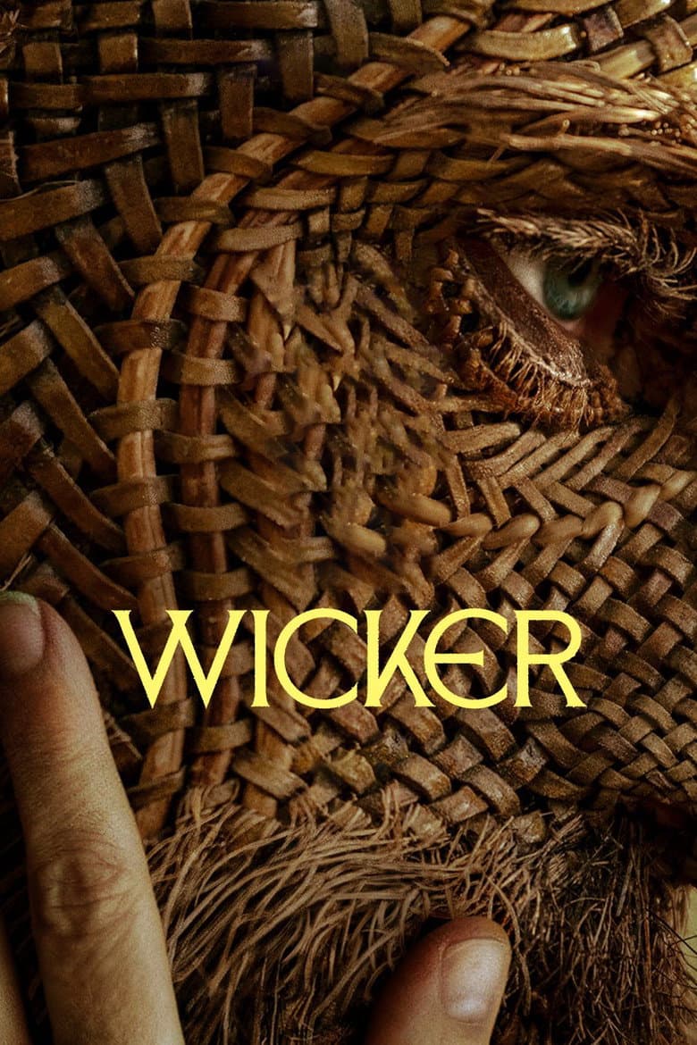 Wicker cover