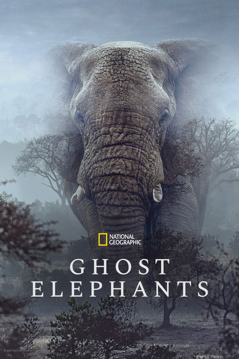 Ghost Elephants cover