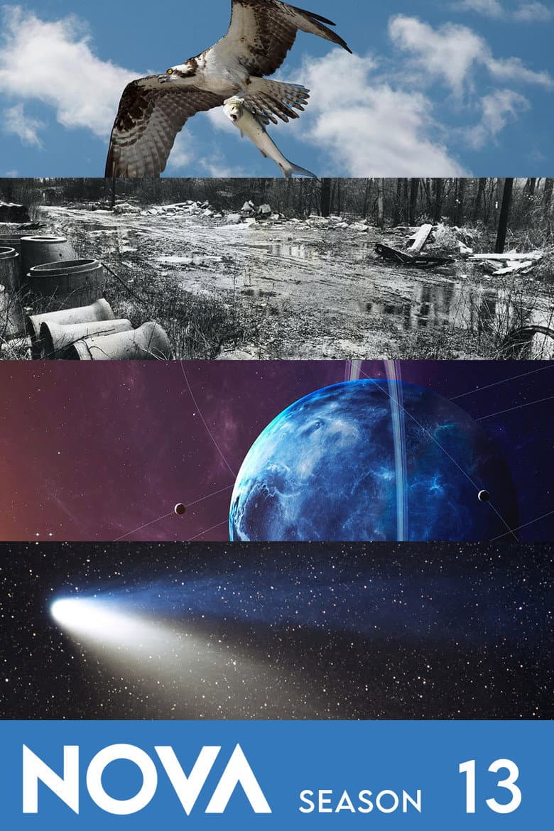 Season 13 poster