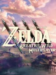 Breath of the Wild Multiplayer artwork