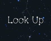 Look Up artwork