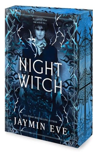 Night Witch artwork