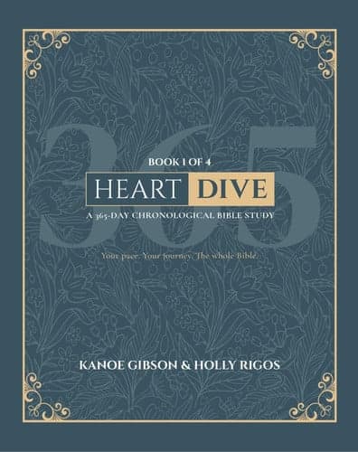 Heart Dive Book 1: January-March of a 365 Day Chronological Bible Study (The Heart Dive Series) cover